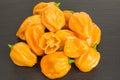 Chili pepper habaneros